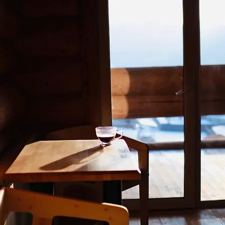 Hotel Derevo House