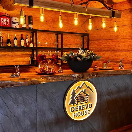 Derevo House Hotel Yasinya