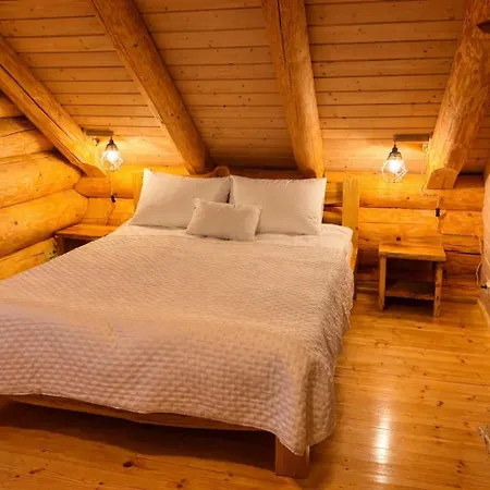 Hotel Derevo House Yasinya