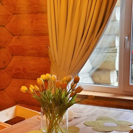 Derevo House Hotel Yasinya