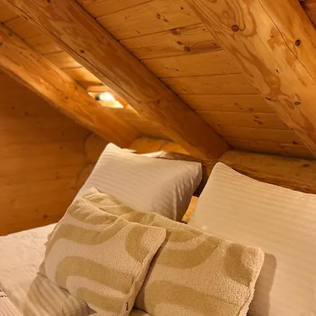 Hotel Derevo House