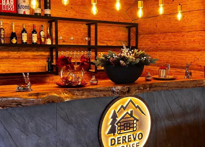 Derevo House Hotel Yasinya