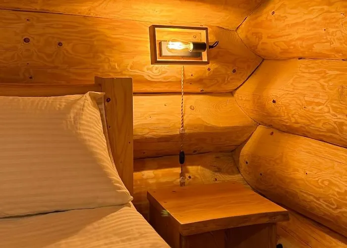 Hotel Derevo House