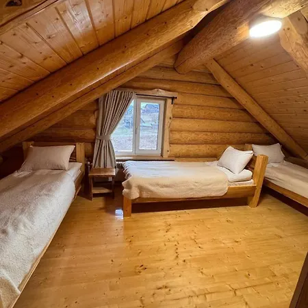 Hotel Derevo House *